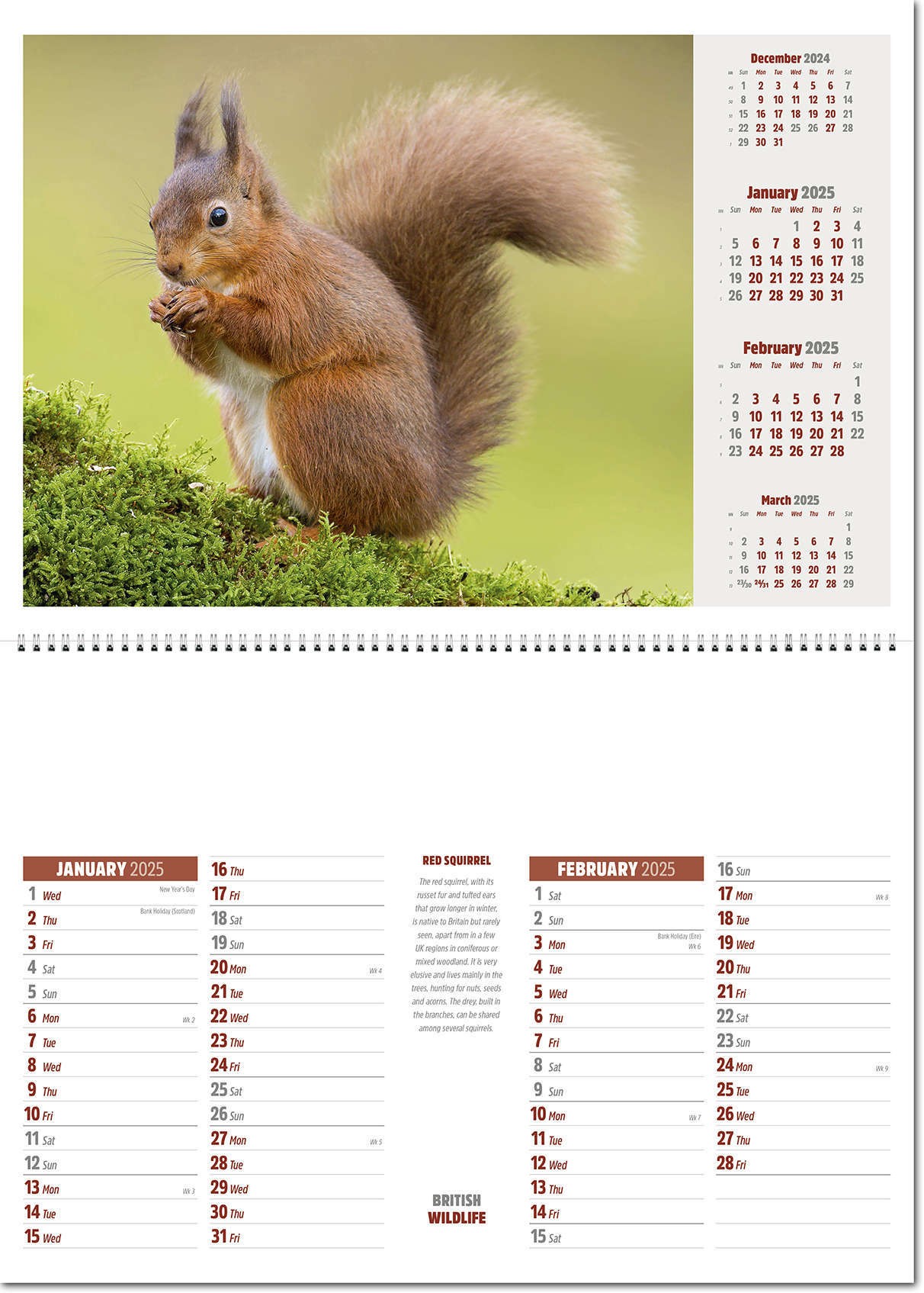 British Wildlife Postage Saver Calendar