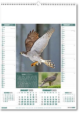 British Birds Calendar