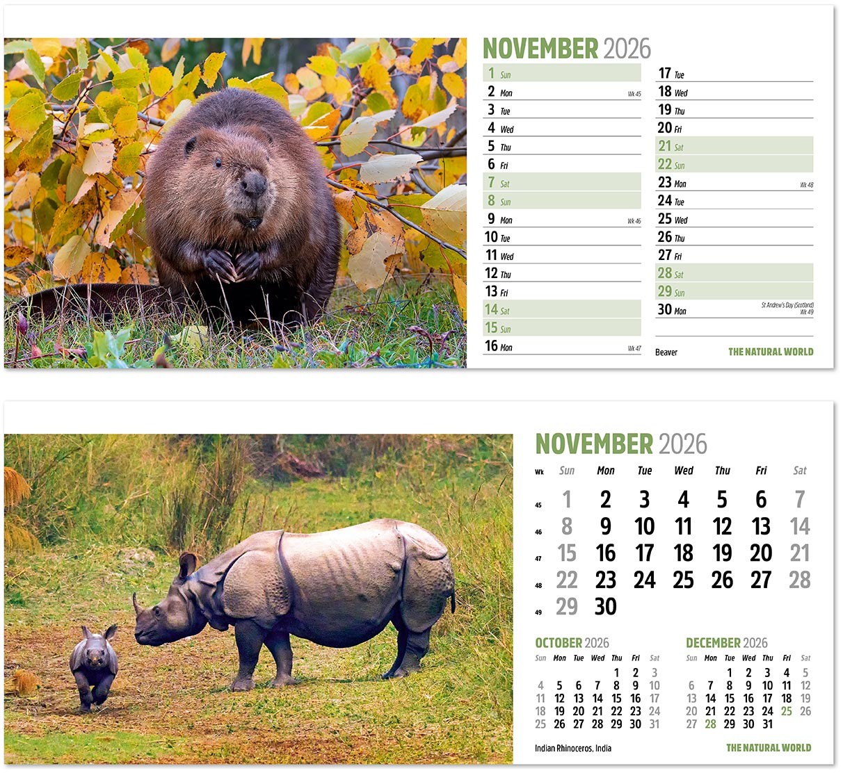 The Natural World Desk Calendar