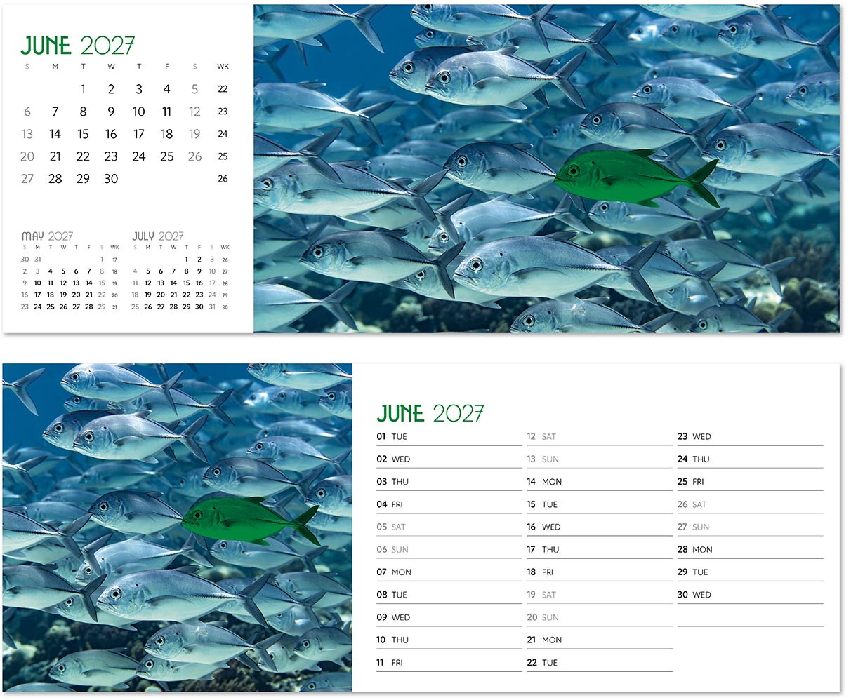 A Touch of Colour Desk Calendar