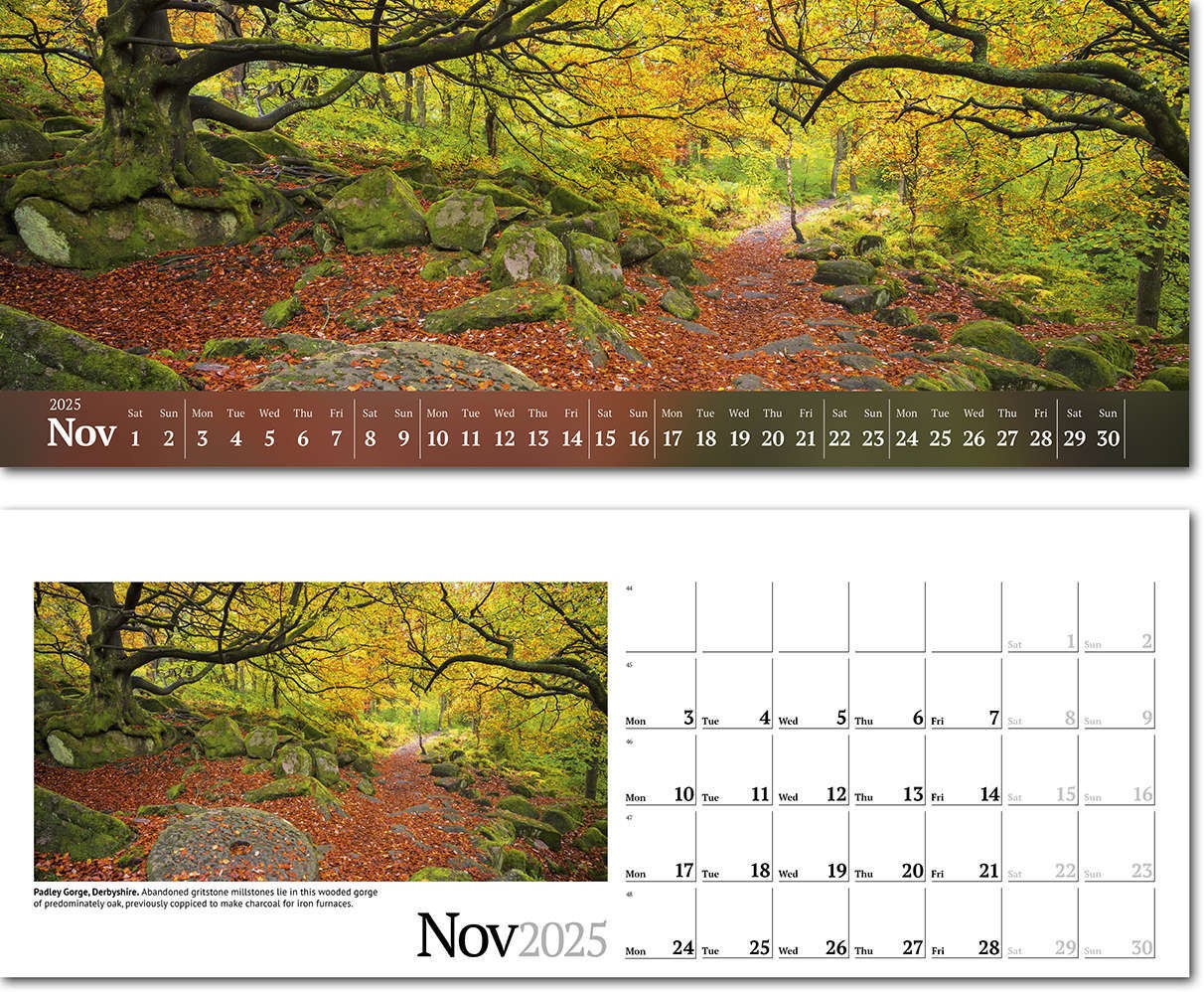 Wild Britain Task Station Desk Calendar