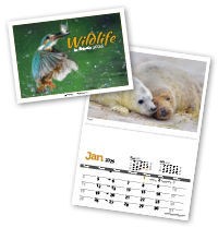 Wildlife in Britain Postage Saver Calendar