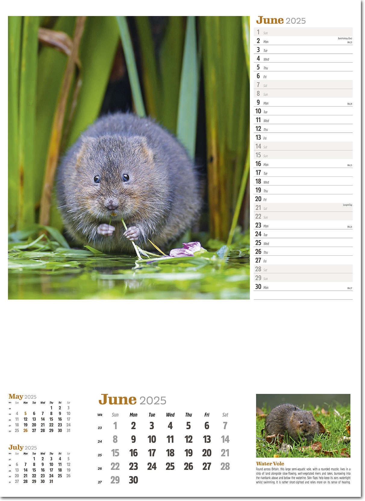 Wildlife in Britain Wall Calendar