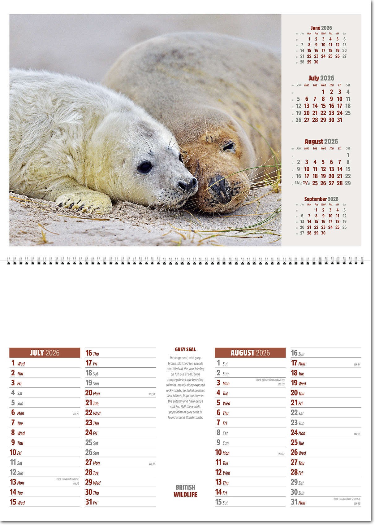 British Wildlife Postage Saver Calendar