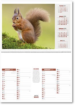 British Wildlife Postage Saver Calendar