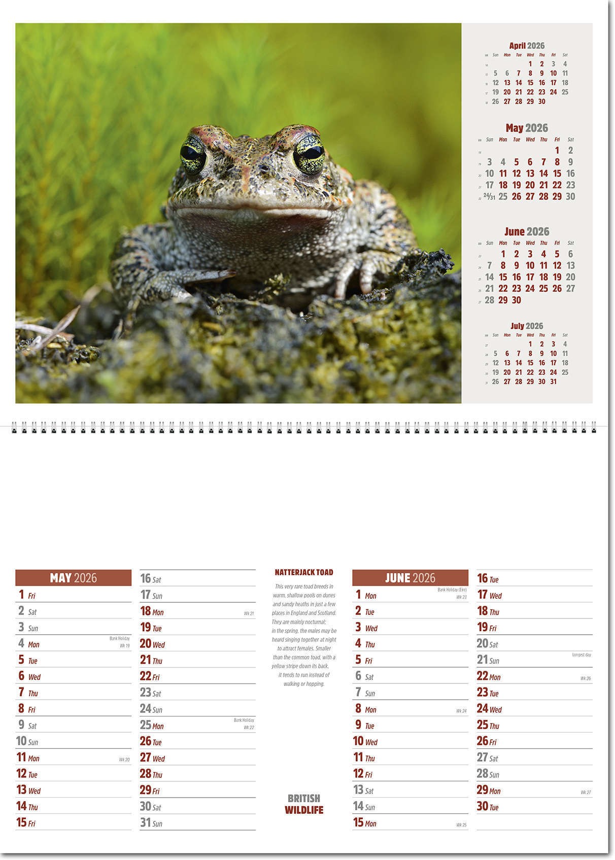 British Wildlife Postage Saver Calendar