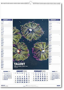 Insight Calendar