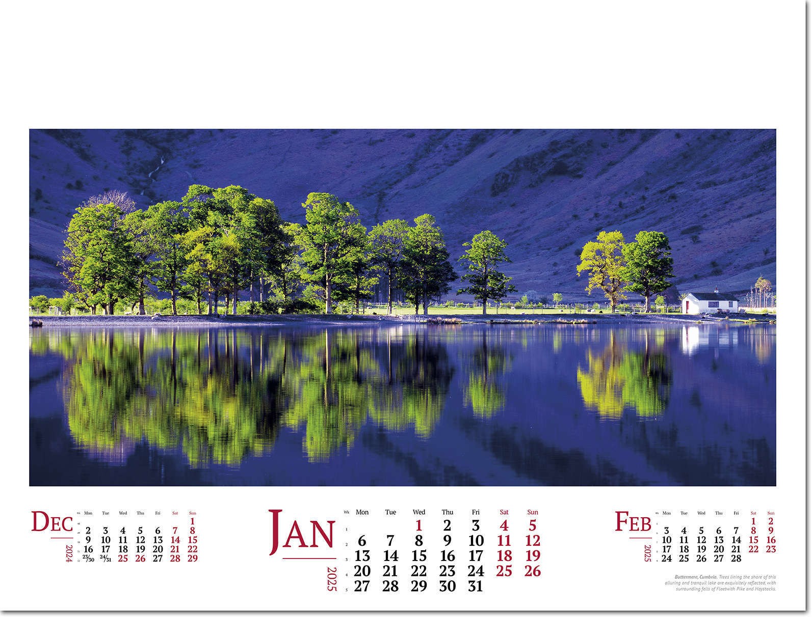 Wild Britain Wall Calendar