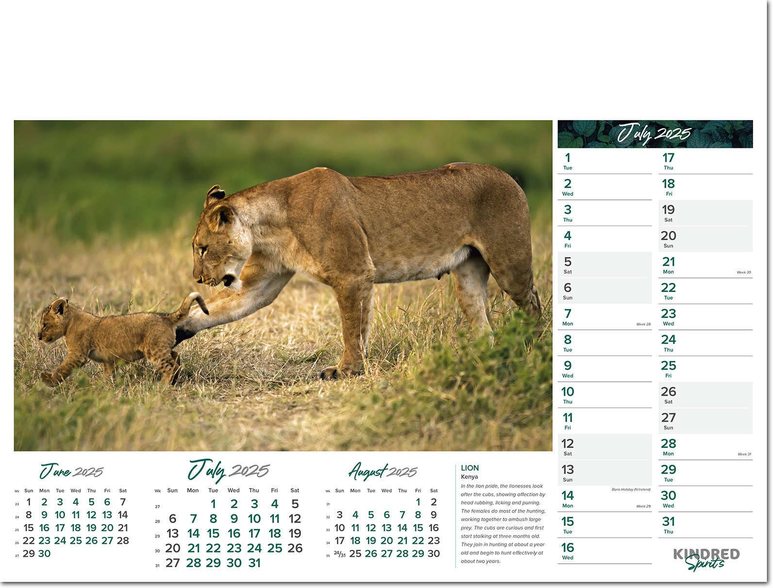 Kindred Spirits Calendar