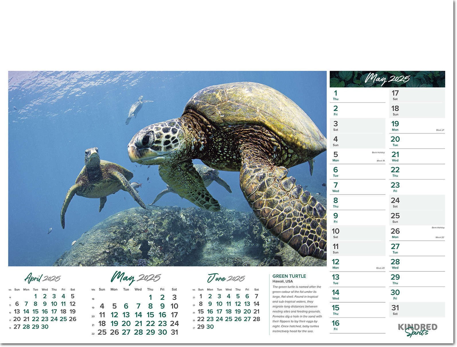 Kindred Spirits Calendar