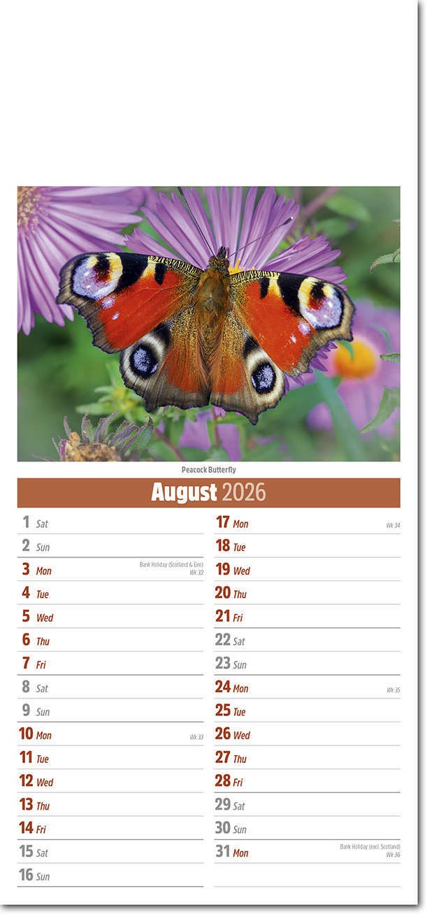 Slimline British Wildlife Compact Calendar