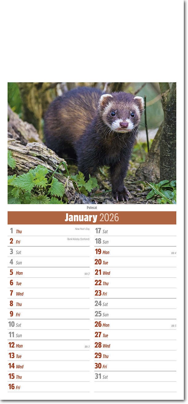 Slimline British Wildlife Compact Calendar