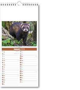 Slimline British Wildlife Compact Calendar