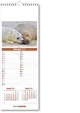 Slimline British Wildlife Calendar