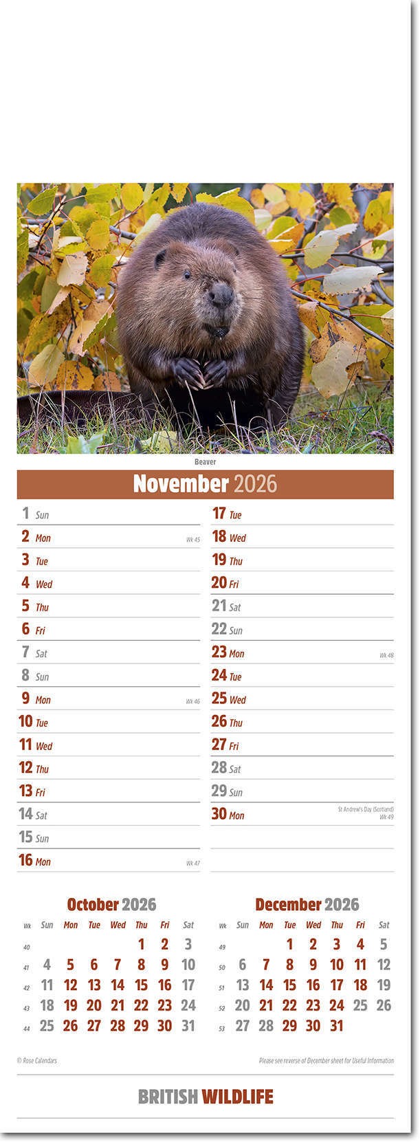 Slimline British Wildlife Calendar