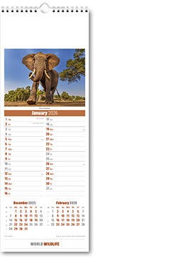 Slimline World Wildlife Calendar